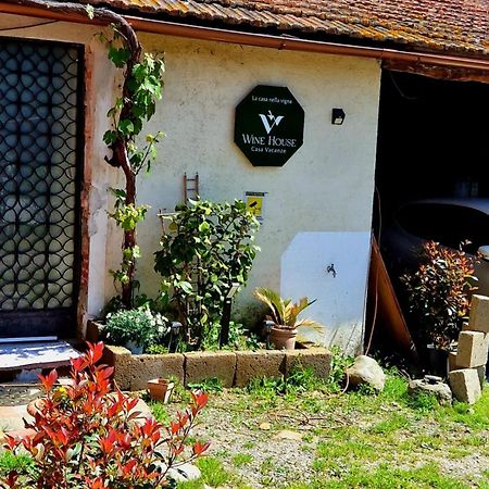 Wine House Bed & Breakfast Capannori Dış mekan fotoğraf