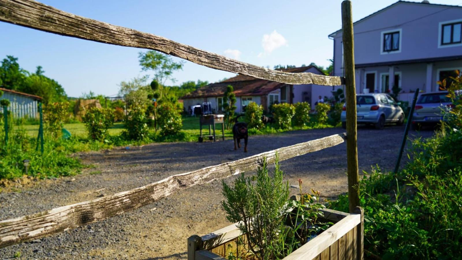 Wine House Bed & Breakfast Capannori Dış mekan fotoğraf