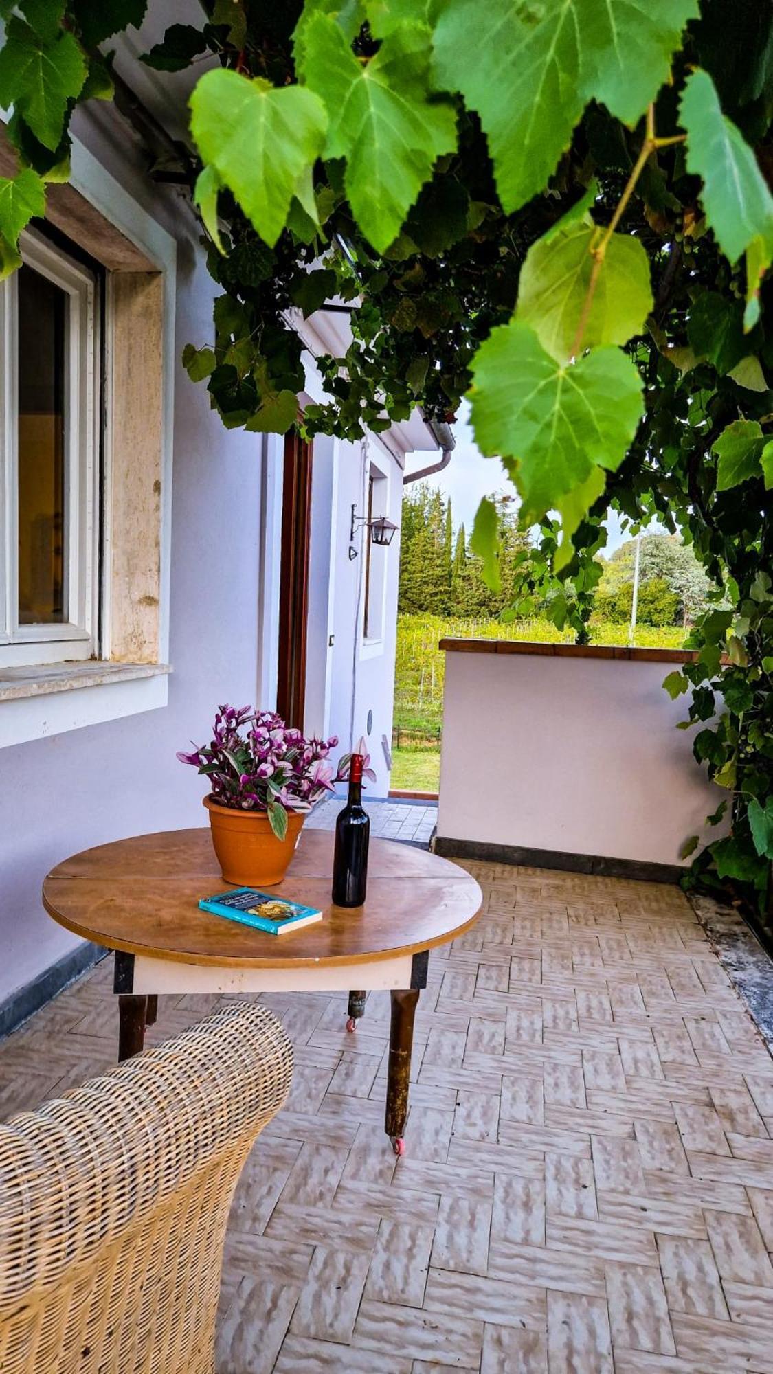 Wine House Bed & Breakfast Capannori Dış mekan fotoğraf