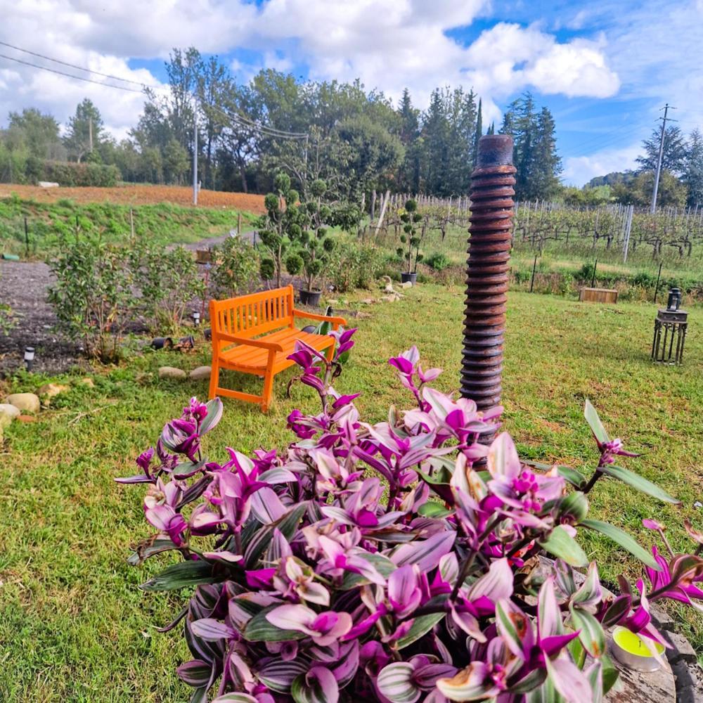 Wine House Bed & Breakfast Capannori Dış mekan fotoğraf