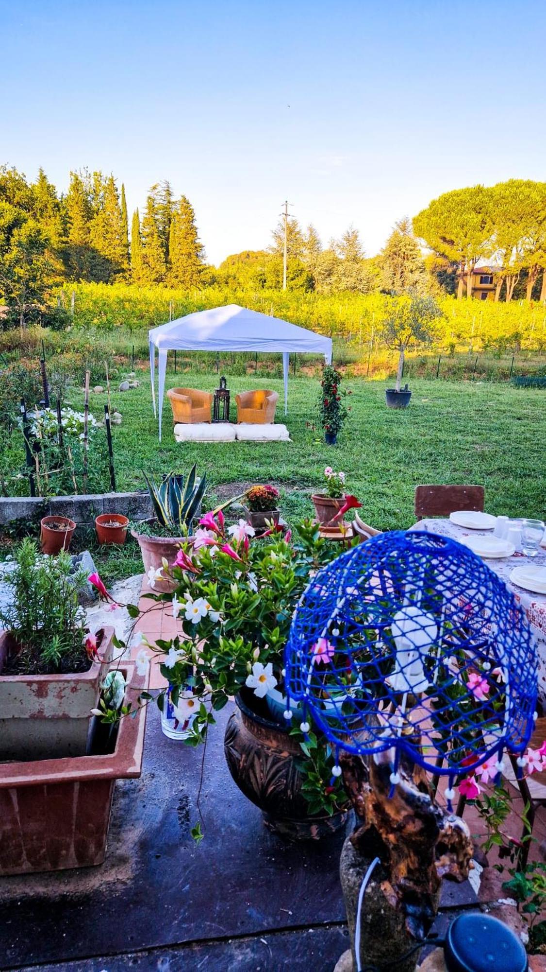 Wine House Bed & Breakfast Capannori Dış mekan fotoğraf