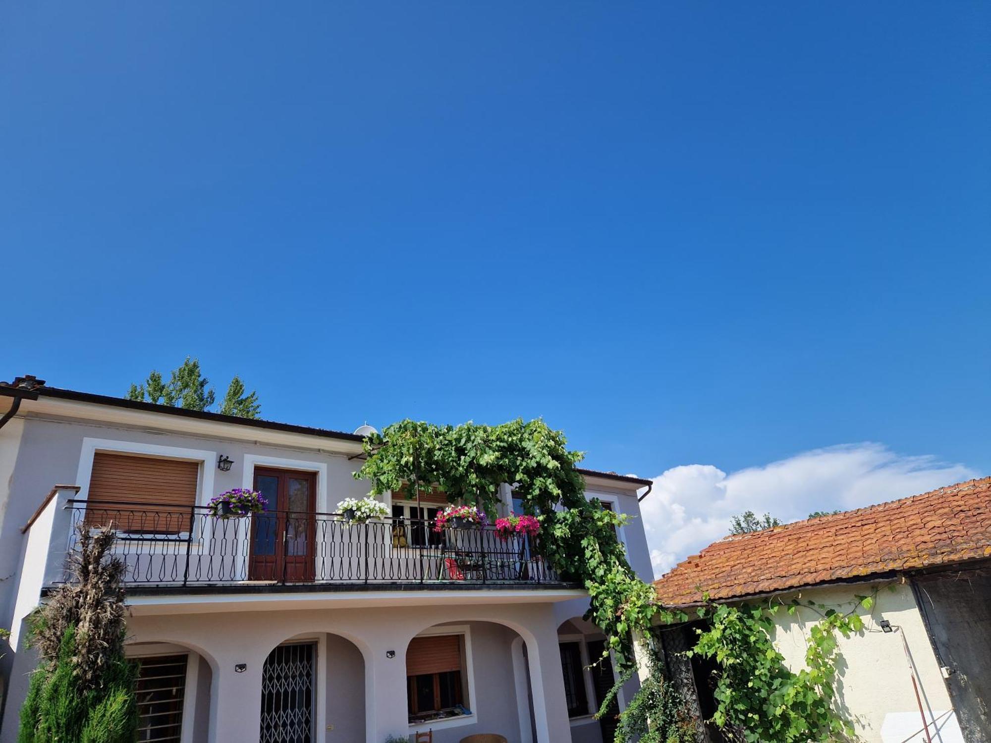 Wine House Bed & Breakfast Capannori Dış mekan fotoğraf