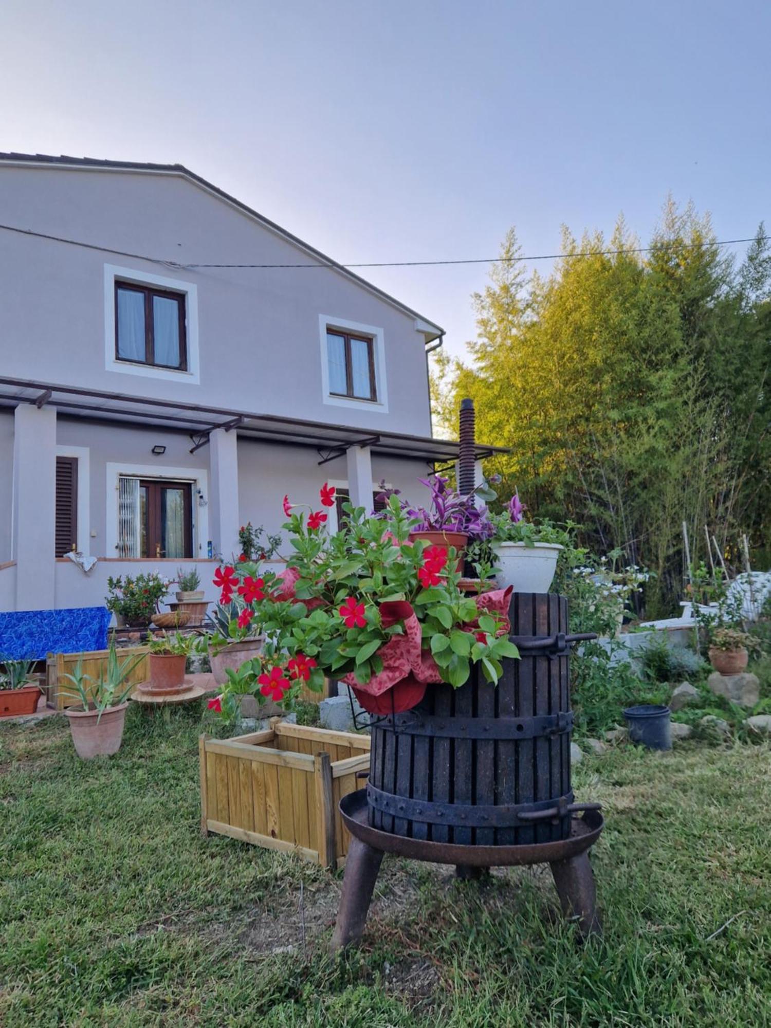 Wine House Bed & Breakfast Capannori Dış mekan fotoğraf